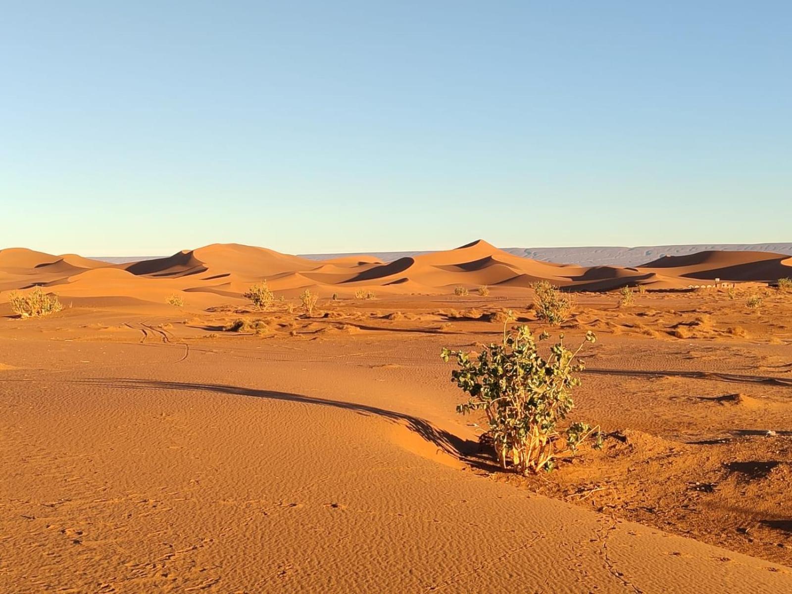 Camp Desert Bivouac Chegaga El Gouera Exterior photo