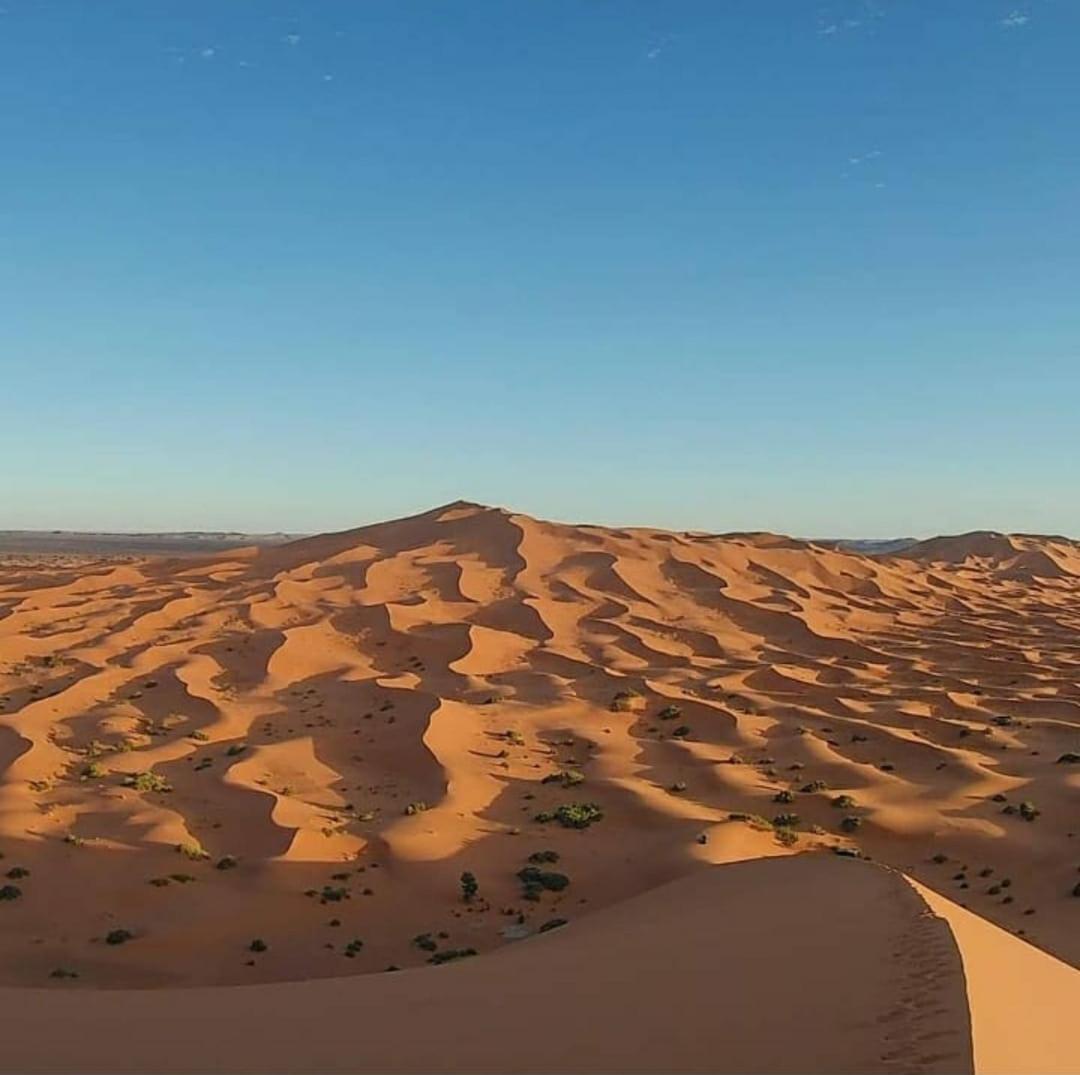 Camp Desert Bivouac Chegaga El Gouera Exterior photo