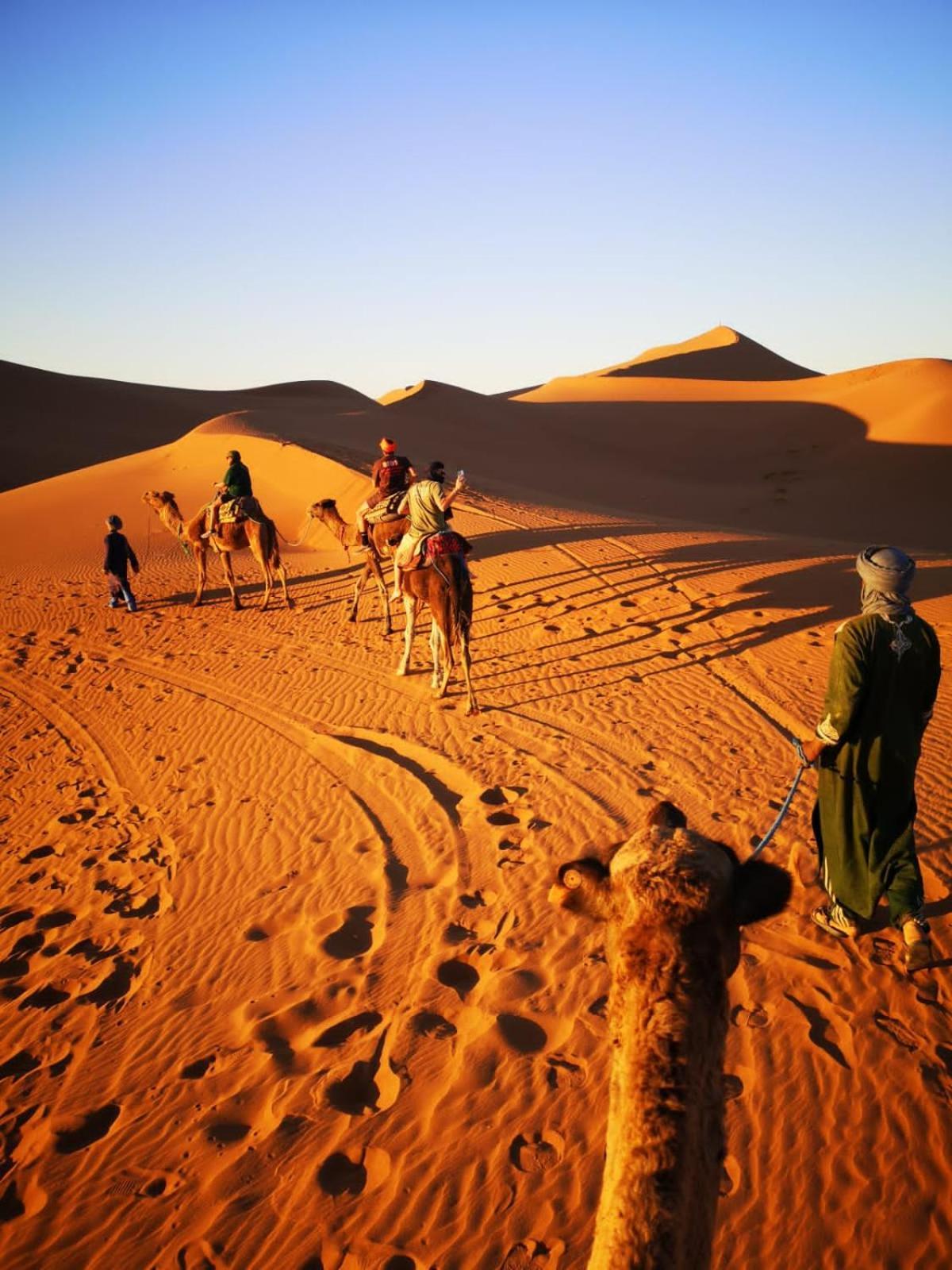 Camp Desert Bivouac Chegaga El Gouera Exterior photo