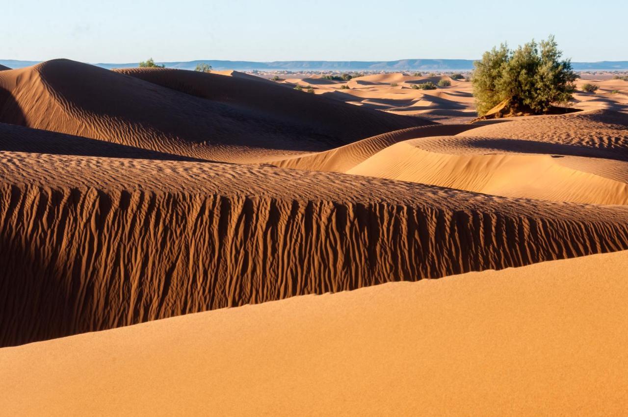Camp Desert Bivouac Chegaga El Gouera Exterior photo
